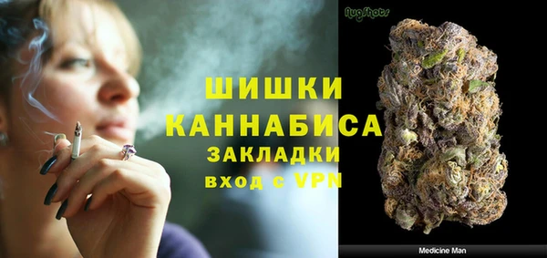твердый Богородицк