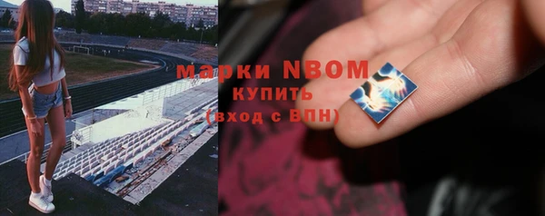 твердый Богородицк