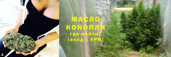 твердый Богородицк
